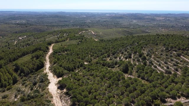 Tontti myytävänä paikassa Cervera del Maestre / Cervera del Maestrat - 100 000 € (Ref: 8307590)