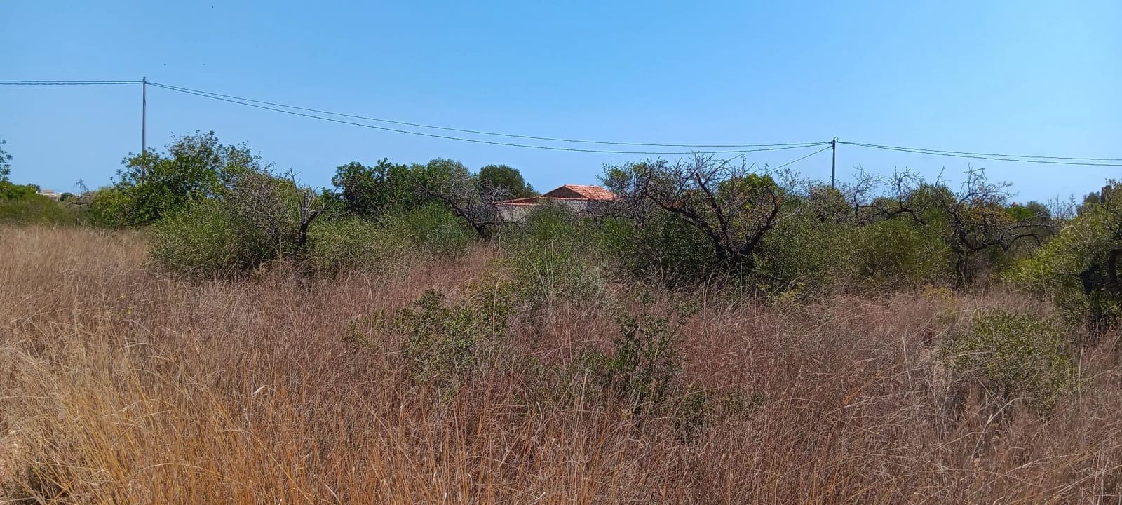 4 quarto Quinta/Casa Rural para venda em Alcossebre com garagem - 360 000 € (Ref: 8462081)