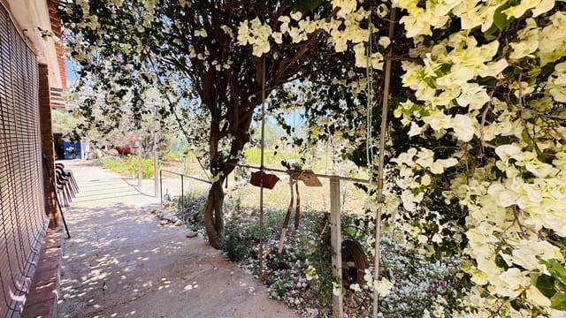 3 bedroom Finca/Country House for sale in Alcossebre, Alcalá de Xivert with garage - € 165,000 (Ref: 8462626)