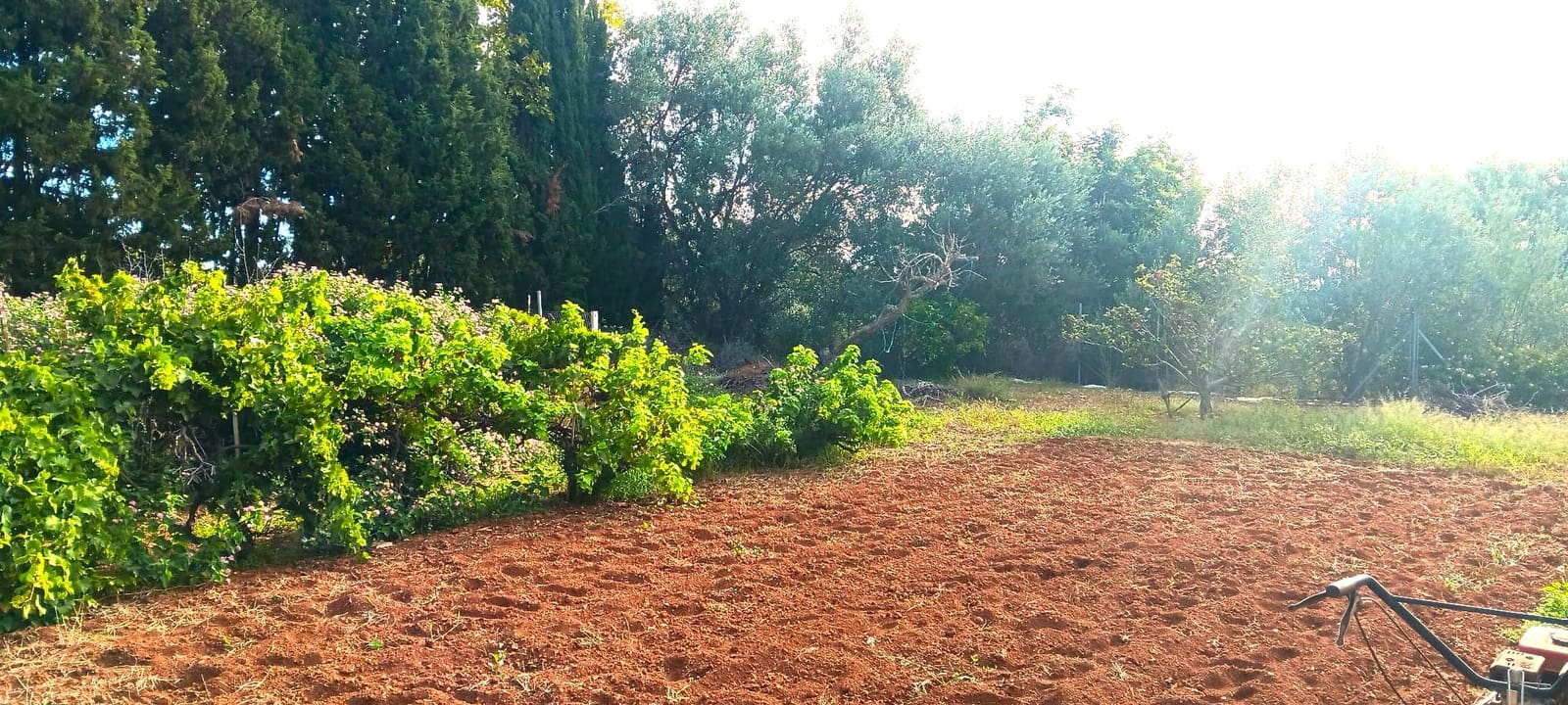 3 soveværelse Villa til salg i Peniscola med swimmingpool garage - € 409.000 (Ref: 8583517)