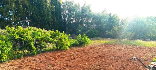 3 soveværelse Villa til salg i Peñíscola med swimmingpool garage - € 409.000 (Ref: 8583517)