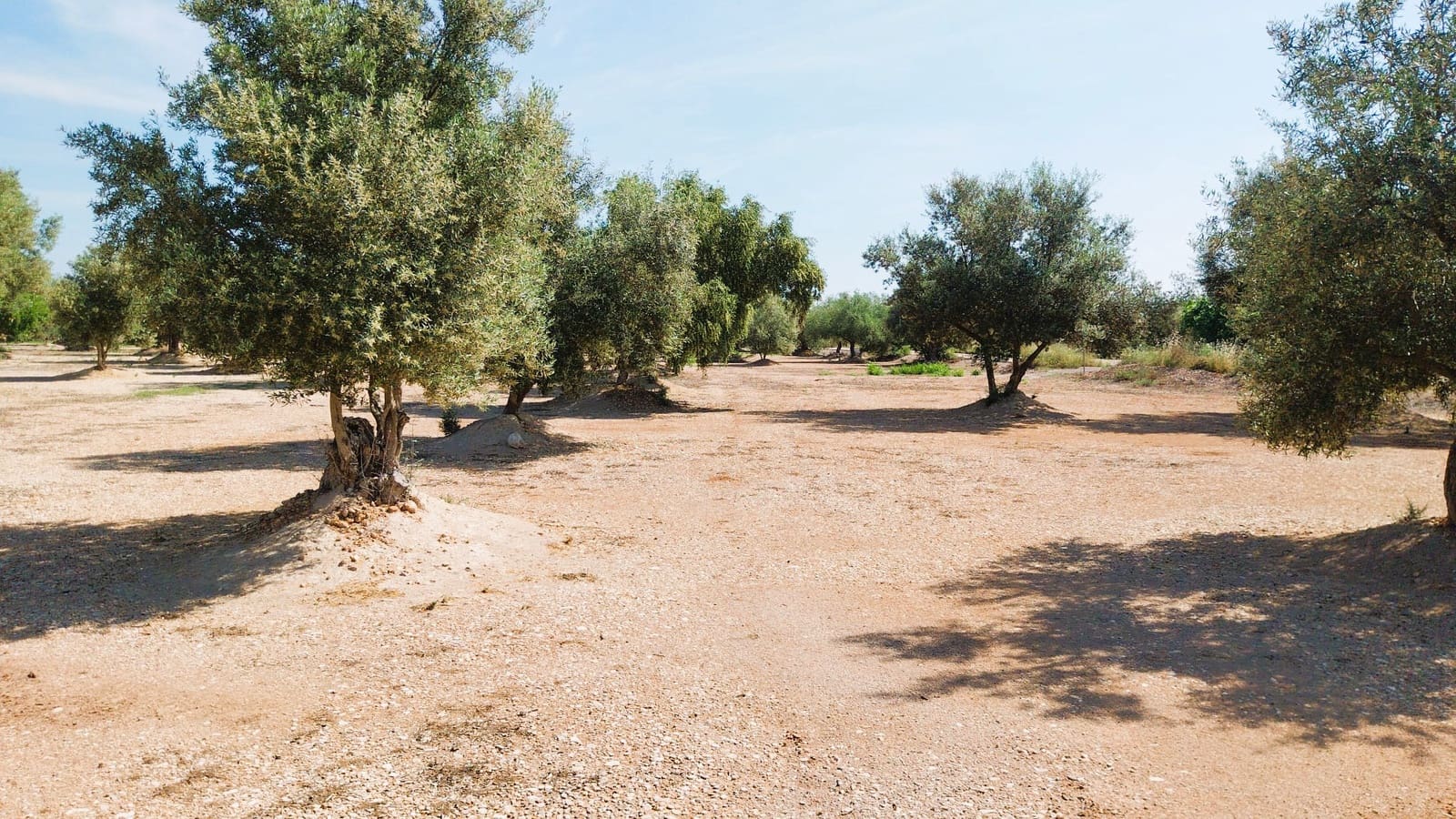 Virksomhed til salg i San Rafael del Rio / Sant Rafael del Riu med garage - € 69.000 (Ref: 9027221)