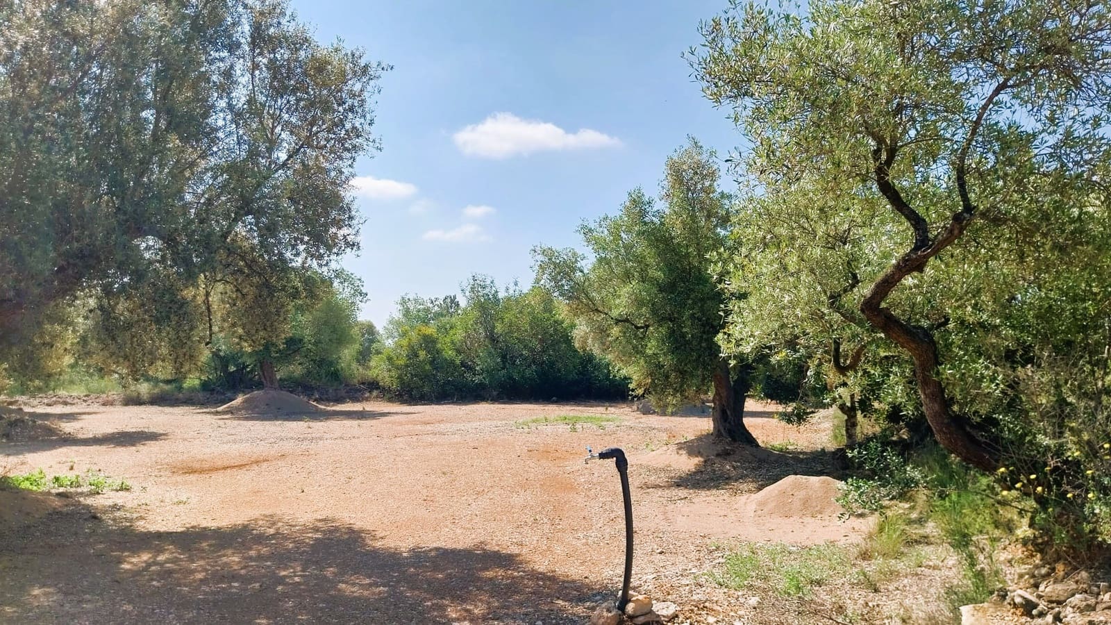 Tomt till salu i San Rafael del Rio / Sant Rafael del Riu - 69 000 € (Ref: 9076780)