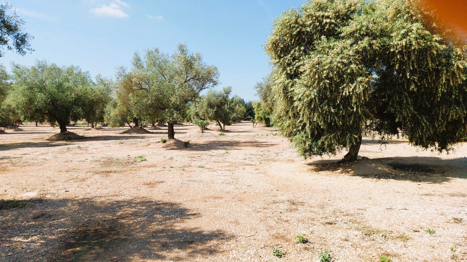 Tomt till salu i San Rafael del Rio / Sant Rafael del Riu - 69 000 € (Ref: 9076780)