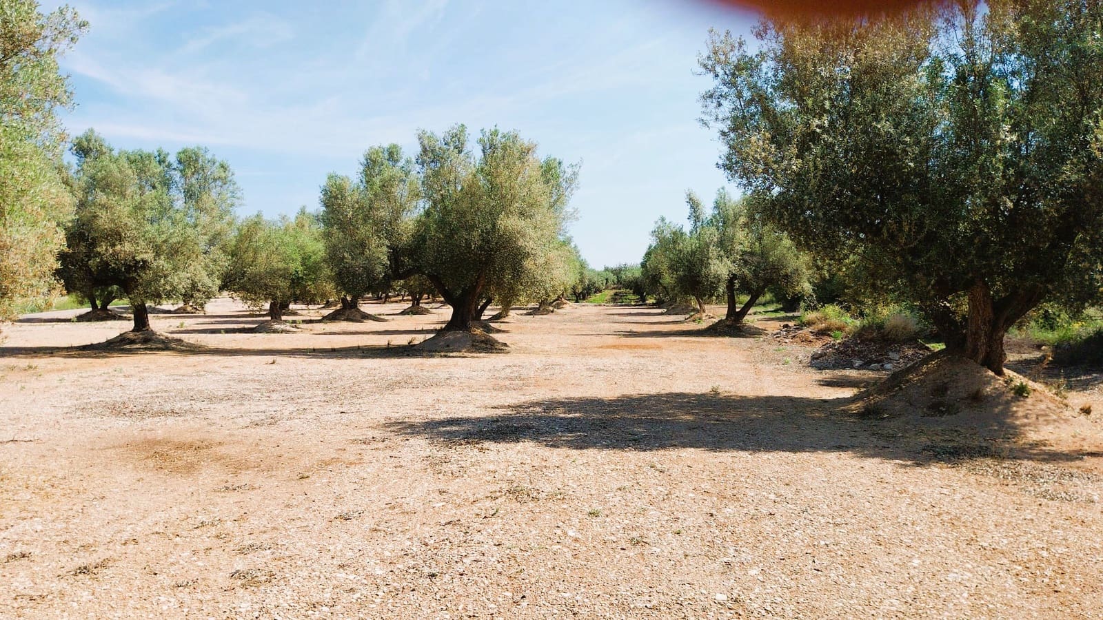 Tomt till salu i San Rafael del Rio / Sant Rafael del Riu - 69 000 € (Ref: 9076780)