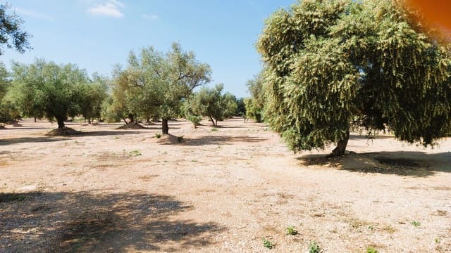 Bouwgrond te koop in San Rafael del Rio / Sant Rafael del Riu - € 69.000 (Ref: 9076780)