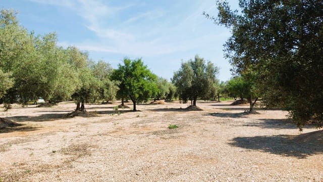 Bouwgrond te koop in San Rafael del Rio / Sant Rafael del Riu - € 69.000 (Ref: 9076780)