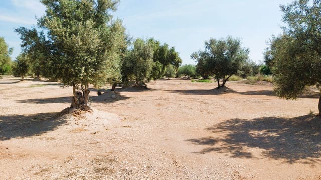 Bouwgrond te koop in San Rafael del Rio / Sant Rafael del Riu - € 69.000 (Ref: 9076780)