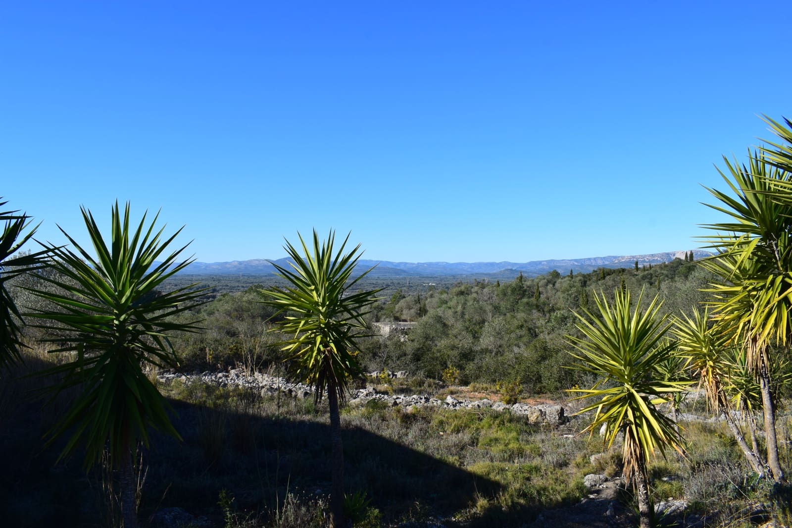 1 slaapkamer Finca/Landhuis te koop in La Jana met garage - € 145.000 (Ref: 9076920)