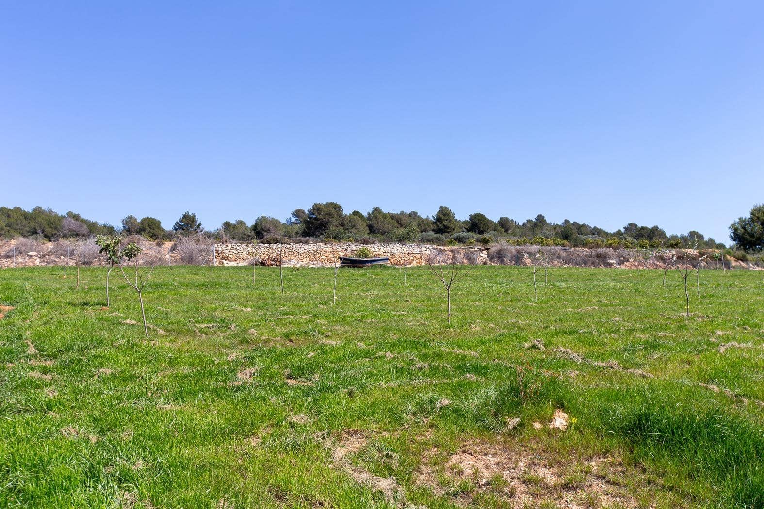 3 soverom Finca/Herregård til salgs i Ulldecona med svømmebasseng garasje - € 300 000 (Ref: 9080692)