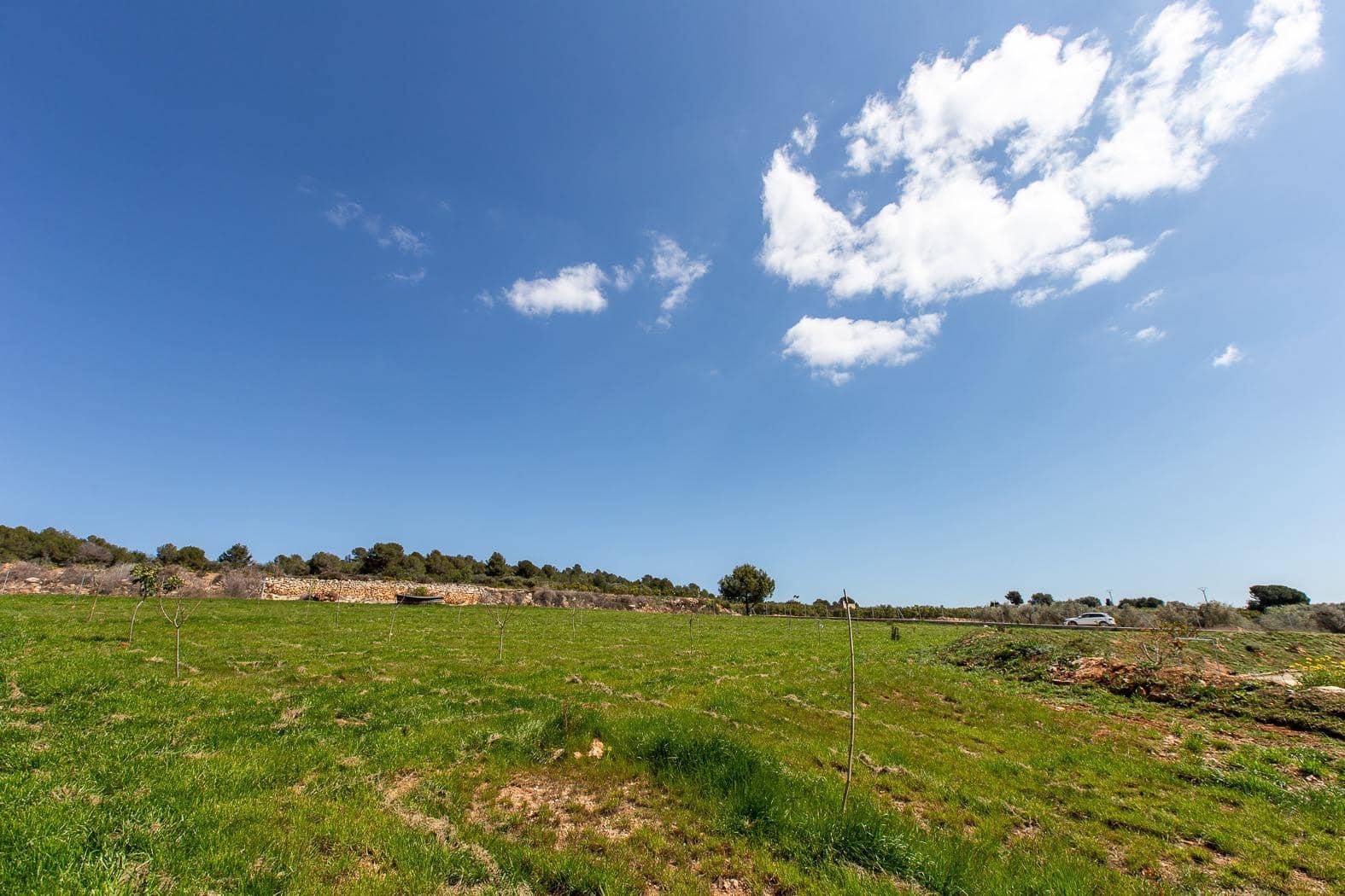 3 soverom Finca/Herregård til salgs i Ulldecona med svømmebasseng garasje - € 300 000 (Ref: 9080692)