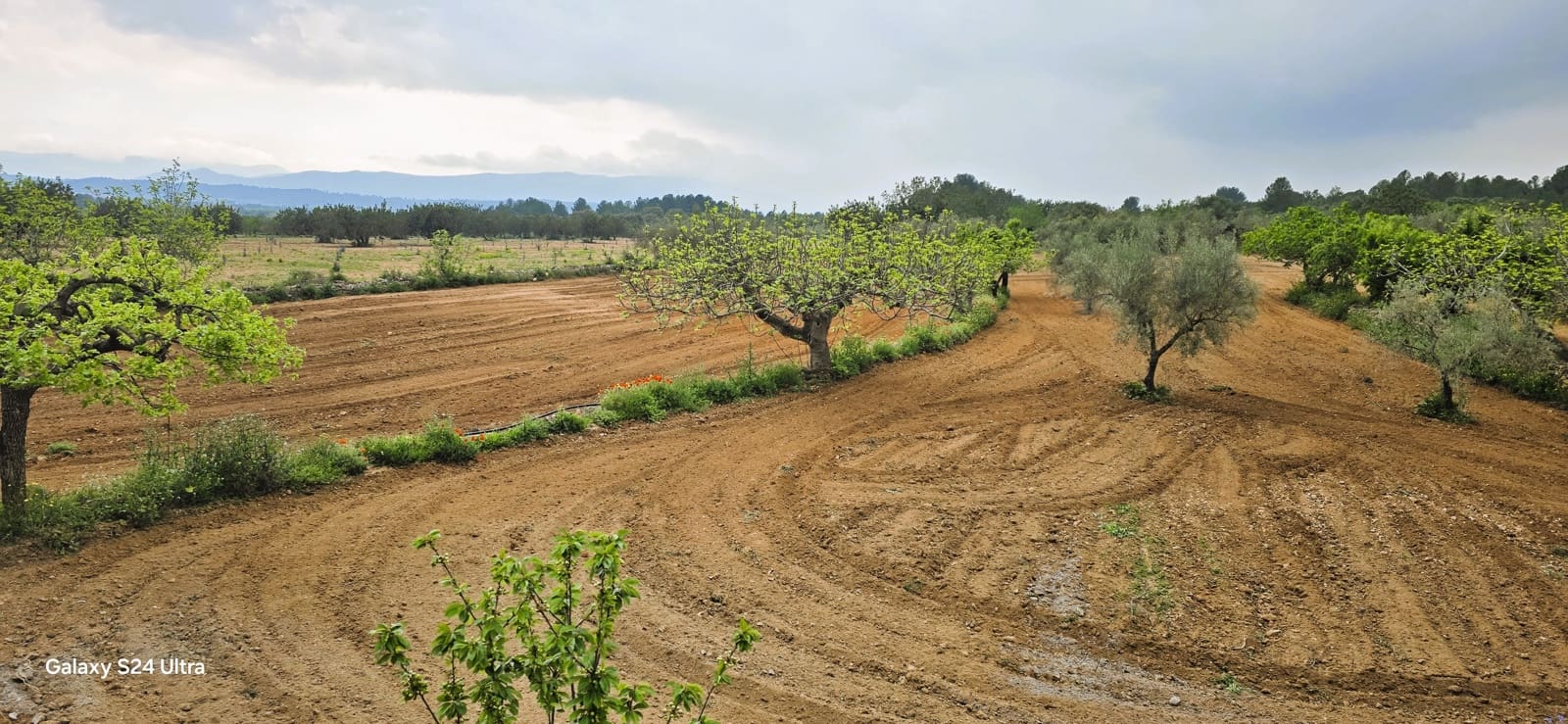 4 sypialnia Finka/Dom wiejski na sprzedaż w Les Useres z basenem garażem - 412 000 € (Ref: 9160605)