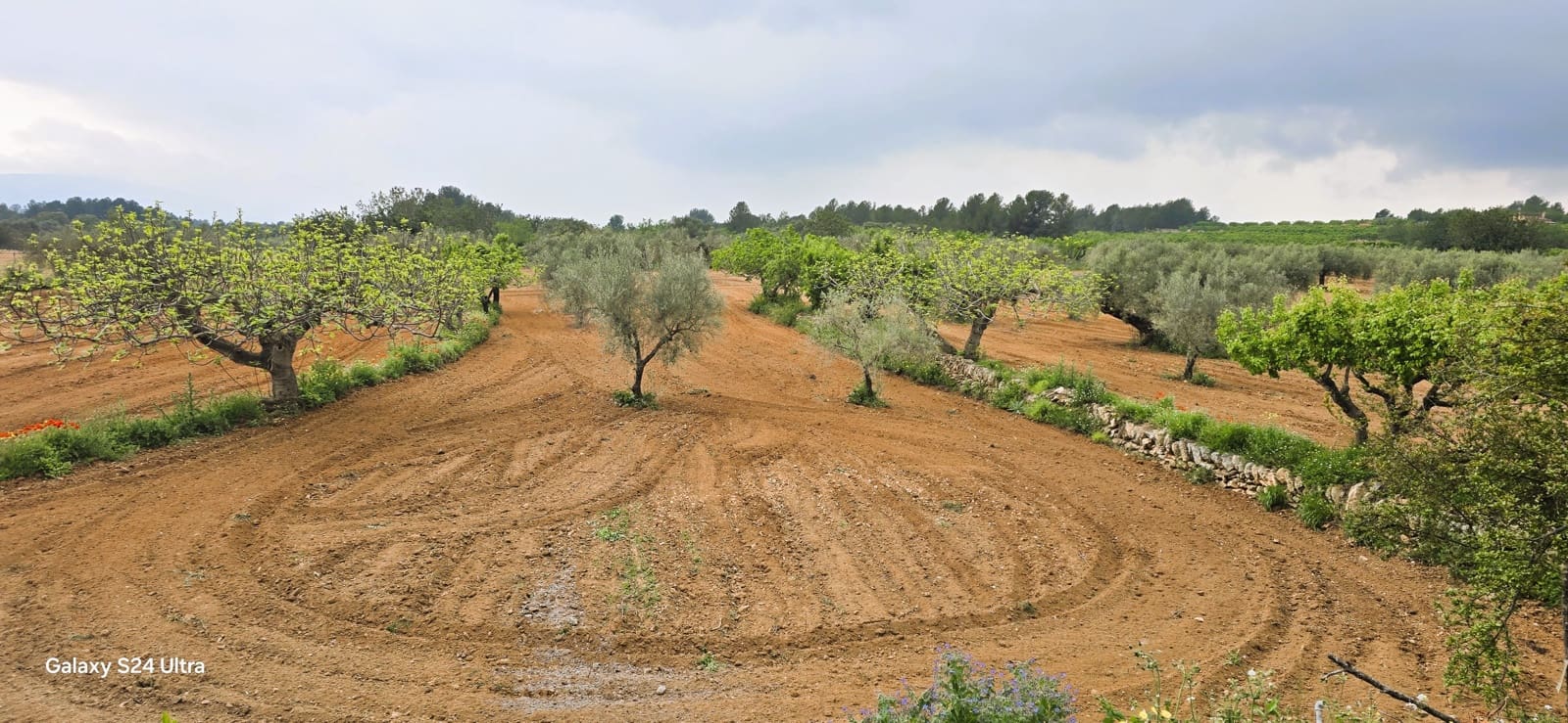 4 sypialnia Finka/Dom wiejski na sprzedaż w Les Useres z basenem garażem - 412 000 € (Ref: 9160605)