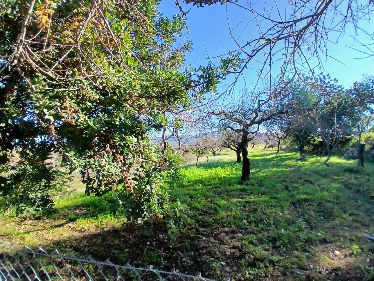 4 slaapkamer Finca/Landhuis te koop in Les Coves de Vinroma met garage - € 220.000 (Ref: 9383189)