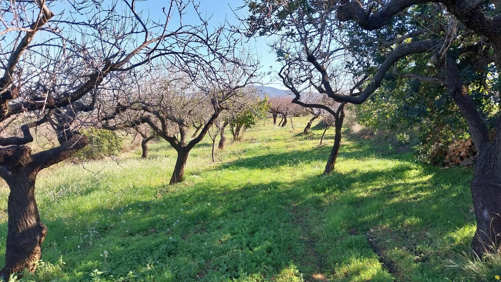 4 slaapkamer Finca/Landhuis te koop in Les Coves de Vinroma met garage - € 220.000 (Ref: 9383189)