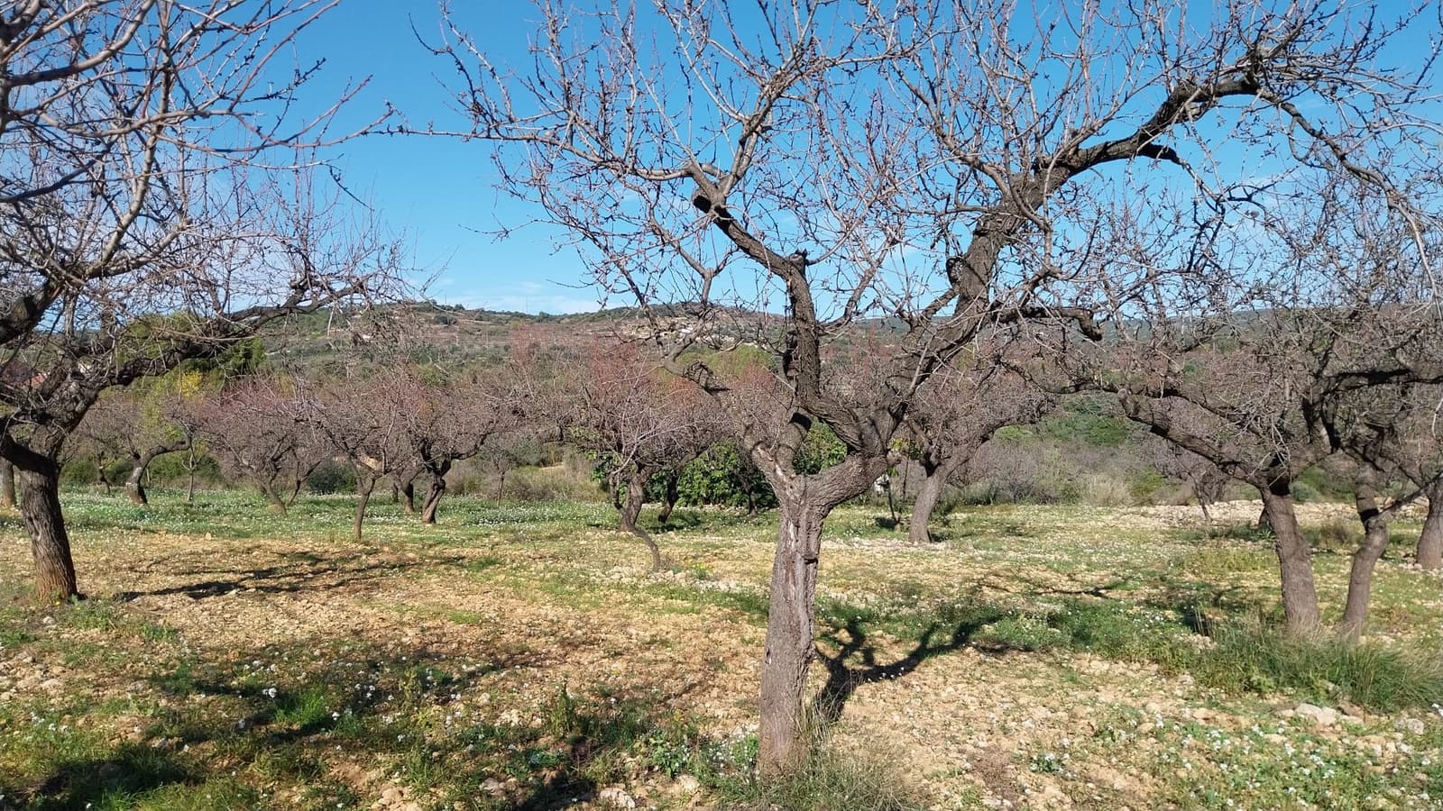 4 slaapkamer Finca/Landhuis te koop in Les Coves de Vinroma met garage - € 220.000 (Ref: 9383189)