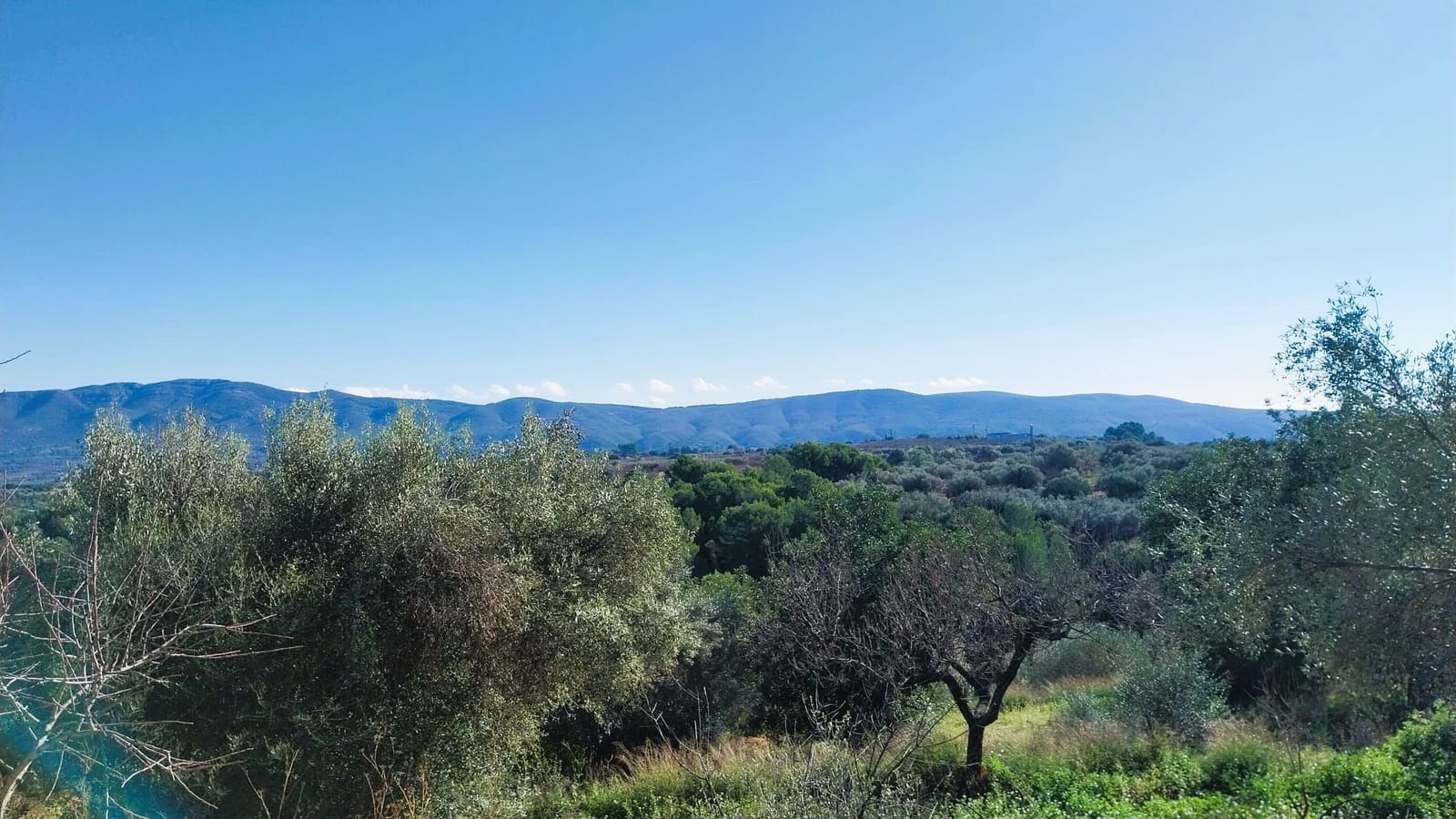 4 slaapkamer Finca/Landhuis te koop in Les Coves de Vinroma met garage - € 220.000 (Ref: 9383189)