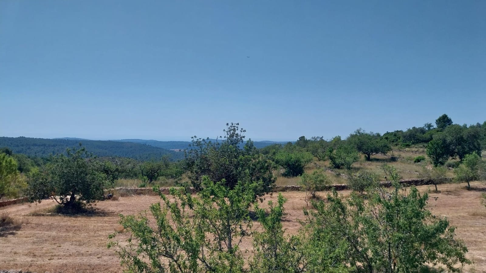 4 bedroom Finca/Country House for sale in Les Coves de Vinroma with pool garage - € 395,000 (Ref: 9388636)