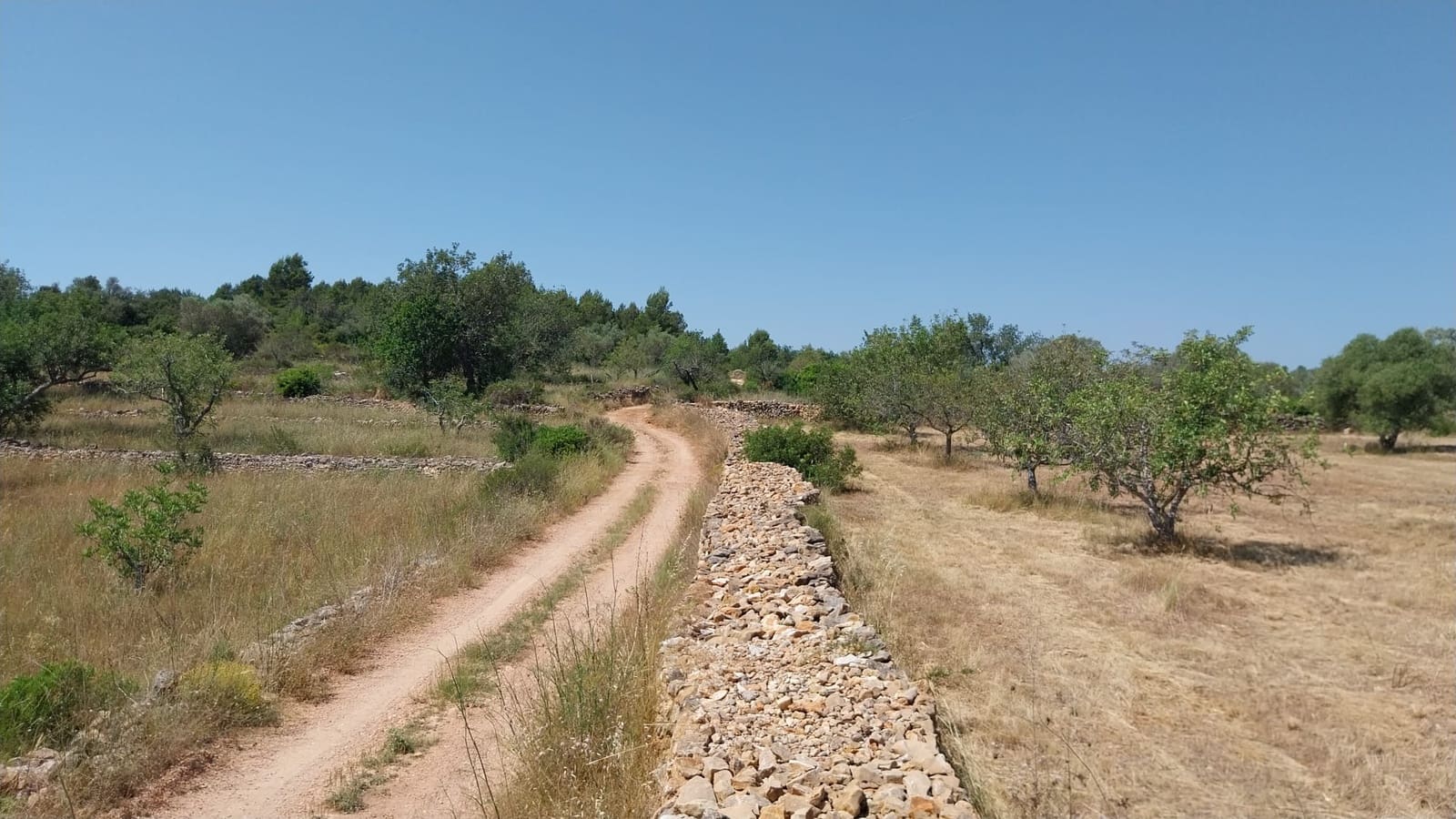 4 bedroom Finca/Country House for sale in Les Coves de Vinroma with pool garage - € 395,000 (Ref: 9388636)