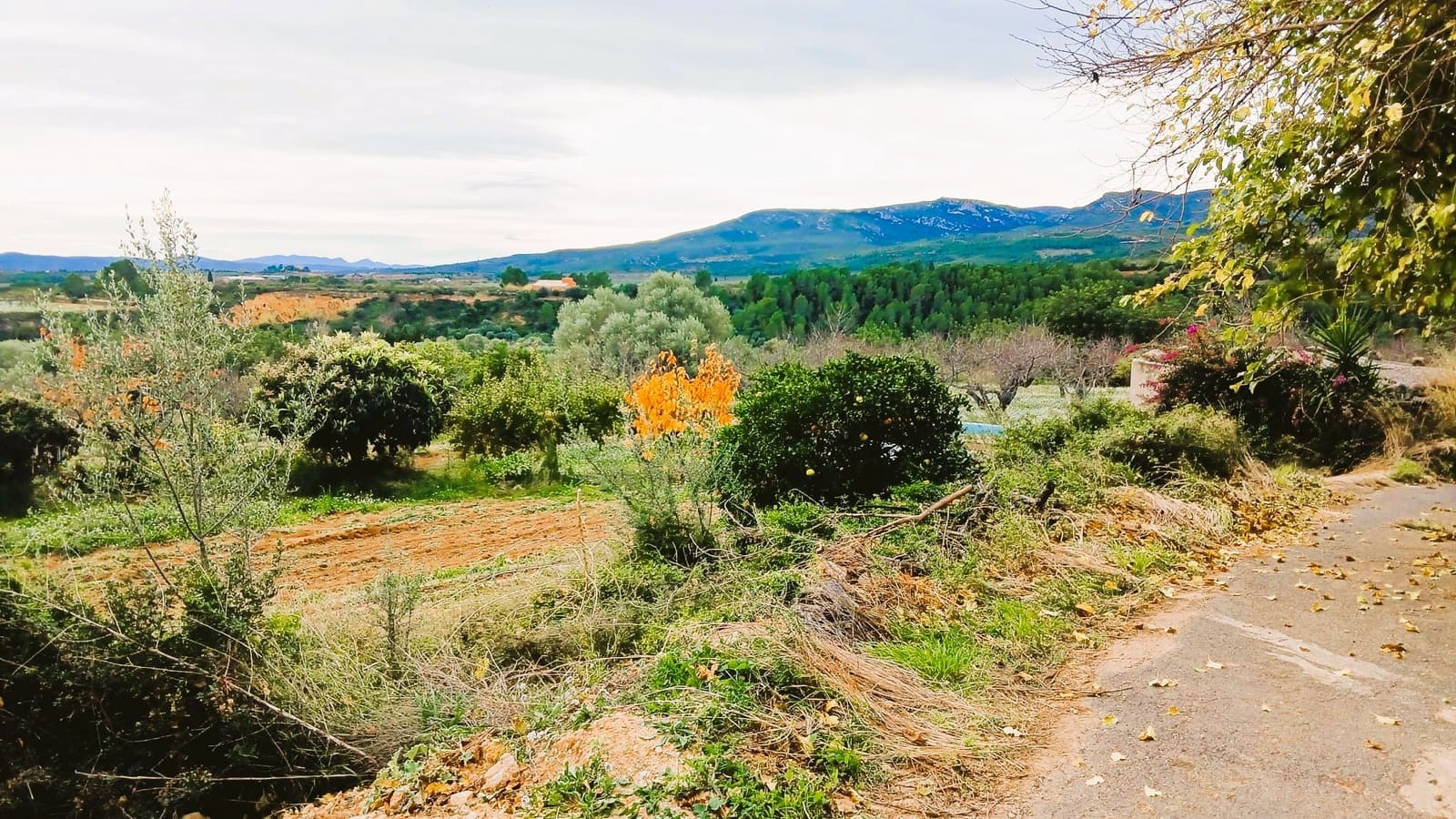 4 sovrum Finca/Hus på landet till salu i Les Coves de Vinroma med garage - 55 000 € (Ref: 9392016)