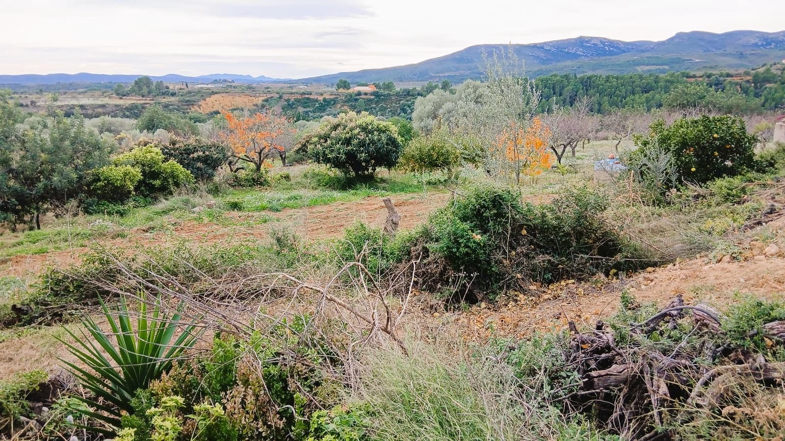 4 sovrum Finca/Hus på landet till salu i Les Coves de Vinroma med garage - 55 000 € (Ref: 9392016)