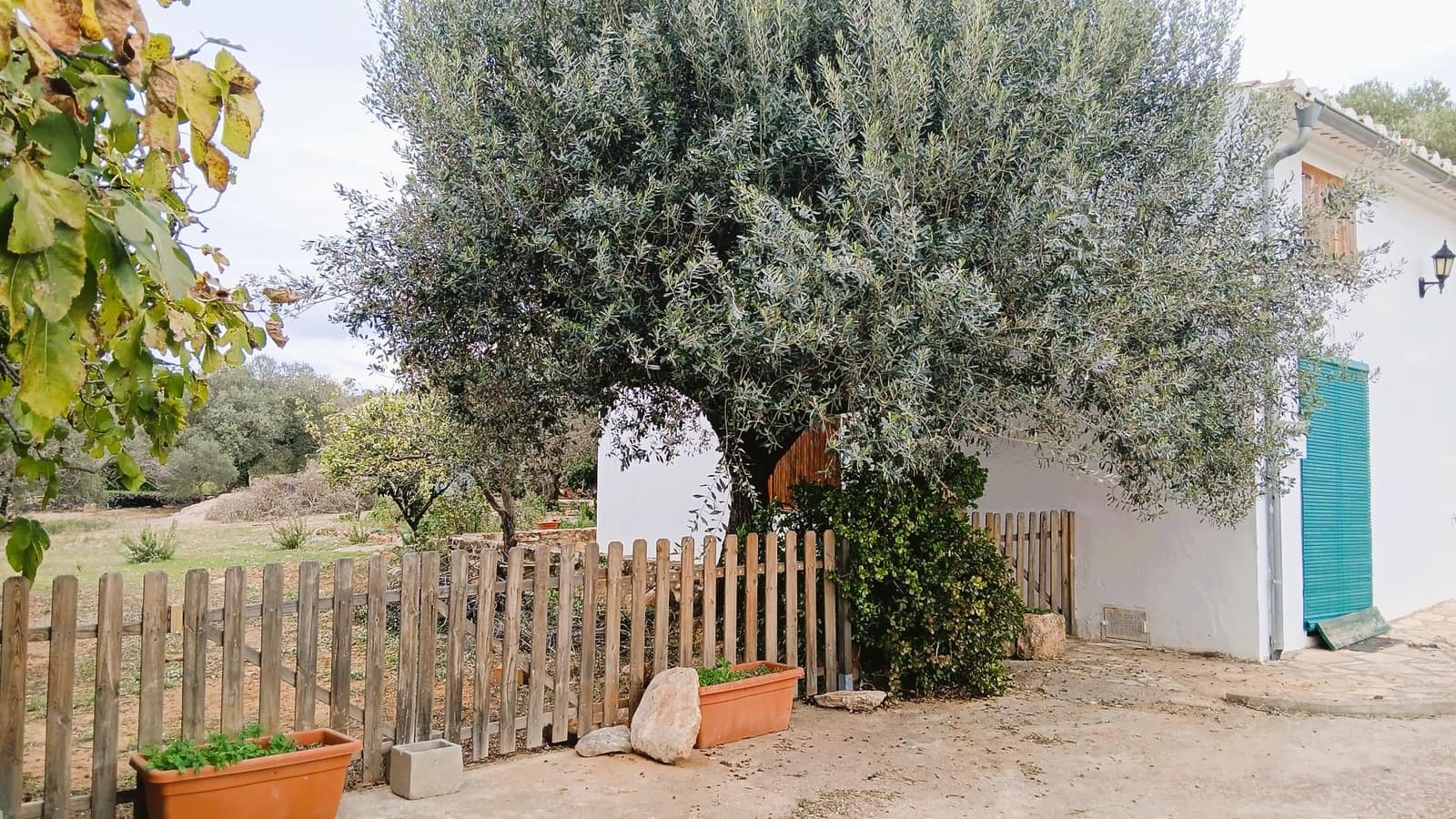 Finca/Casa Rural de 4 habitaciones en Les Coves de Vinromà en venta con garaje - 55.000 € (Ref: 9403581)