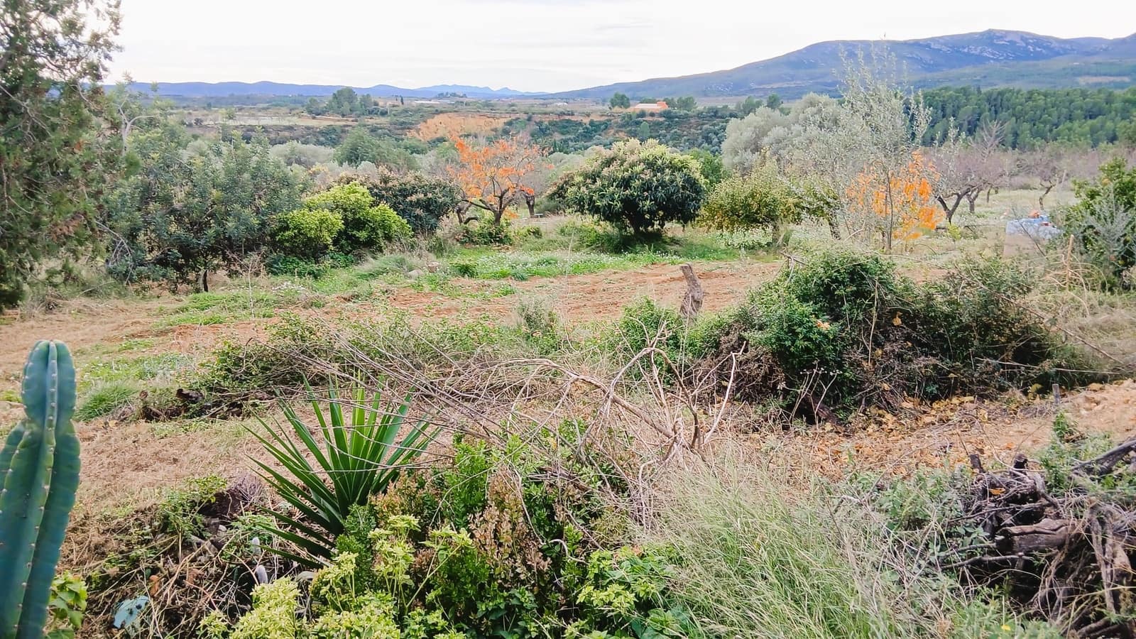 Finca/Casa Rural de 4 habitaciones en Les Coves de Vinromà en venta con garaje - 55.000 € (Ref: 9403581)