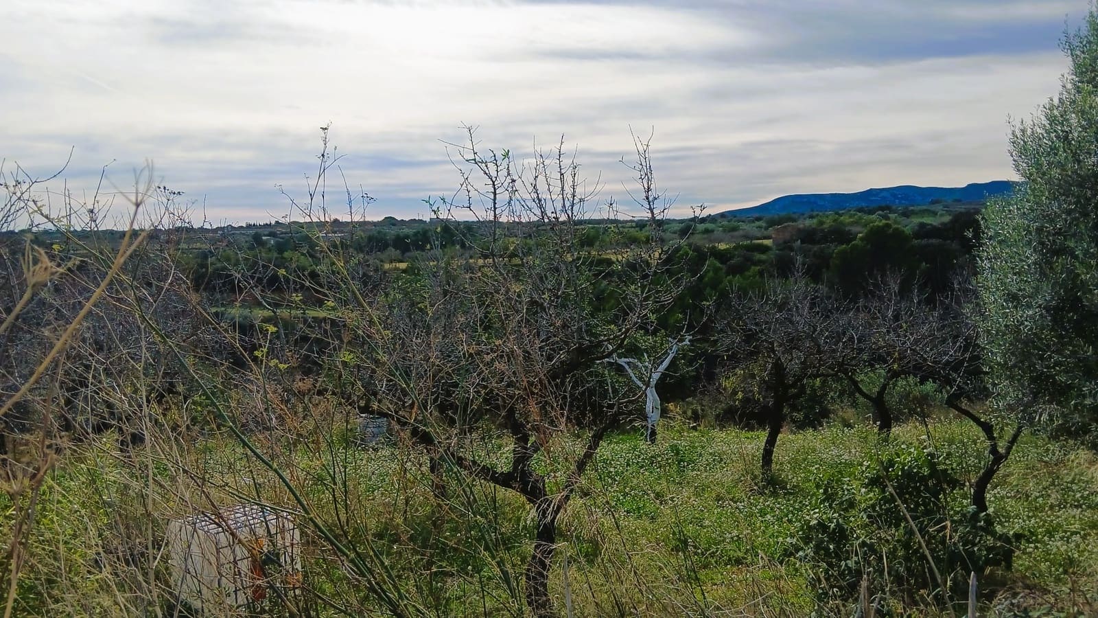 3 bedroom Townhouse for sale in Les Coves de Vinroma with garage - € 115,000 (Ref: 9412893)