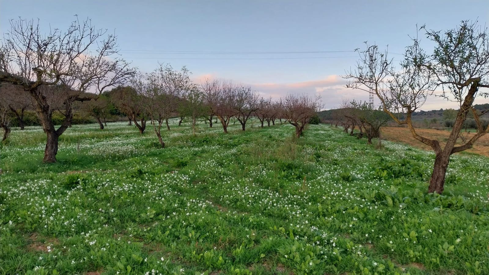 Bouwgrond te koop in Les Coves de Vinroma - € 35.000 (Ref: 9415193)