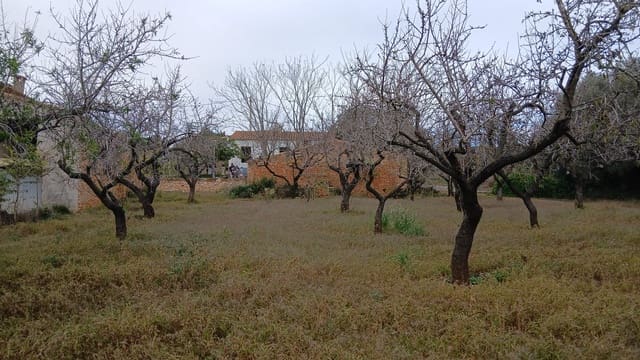 Tomt till salu i Les Coves de Vinromà - 35 000 € (Ref: 9415193)