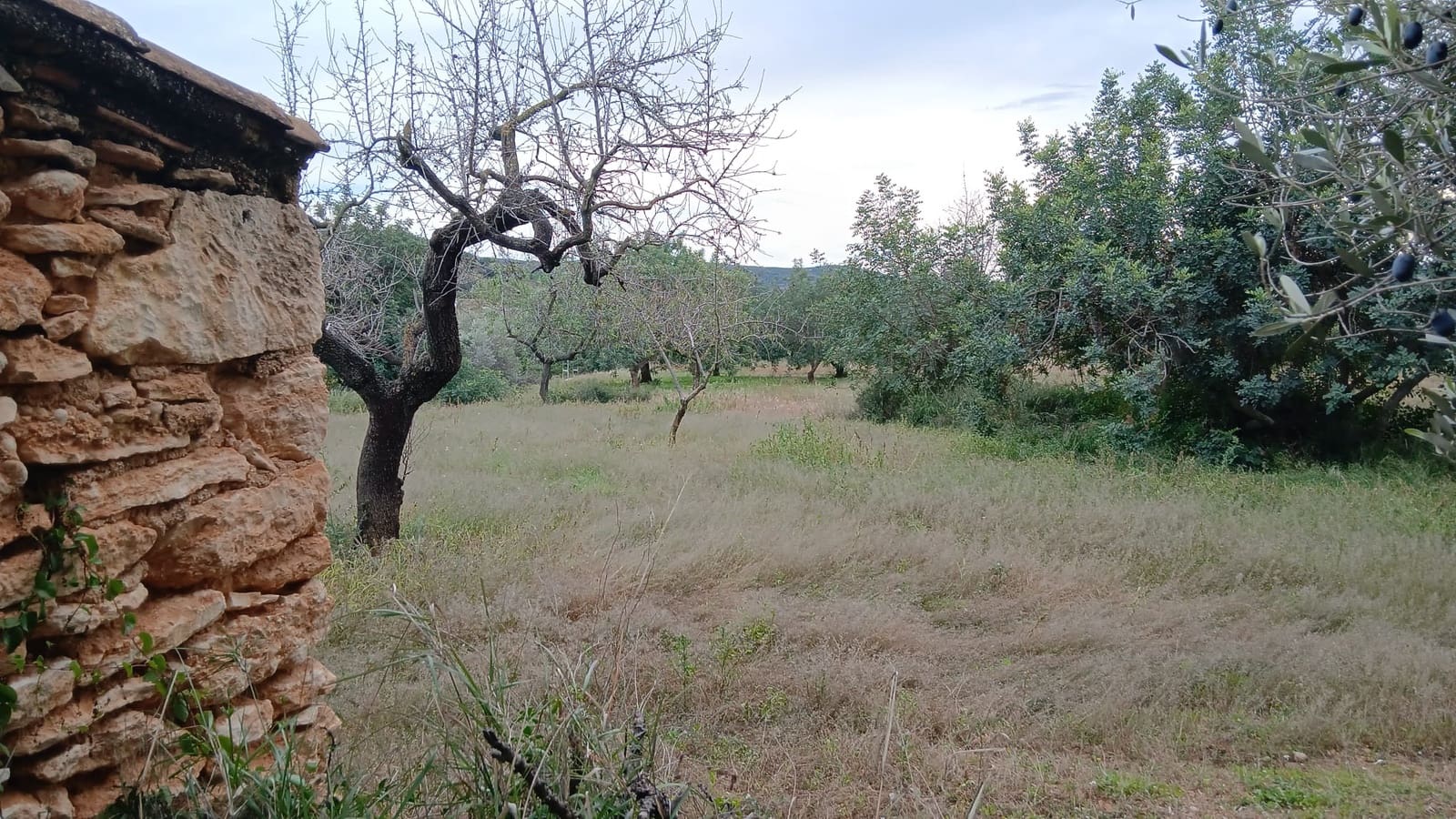 Bouwgrond te koop in Les Coves de Vinroma - € 35.000 (Ref: 9415193)