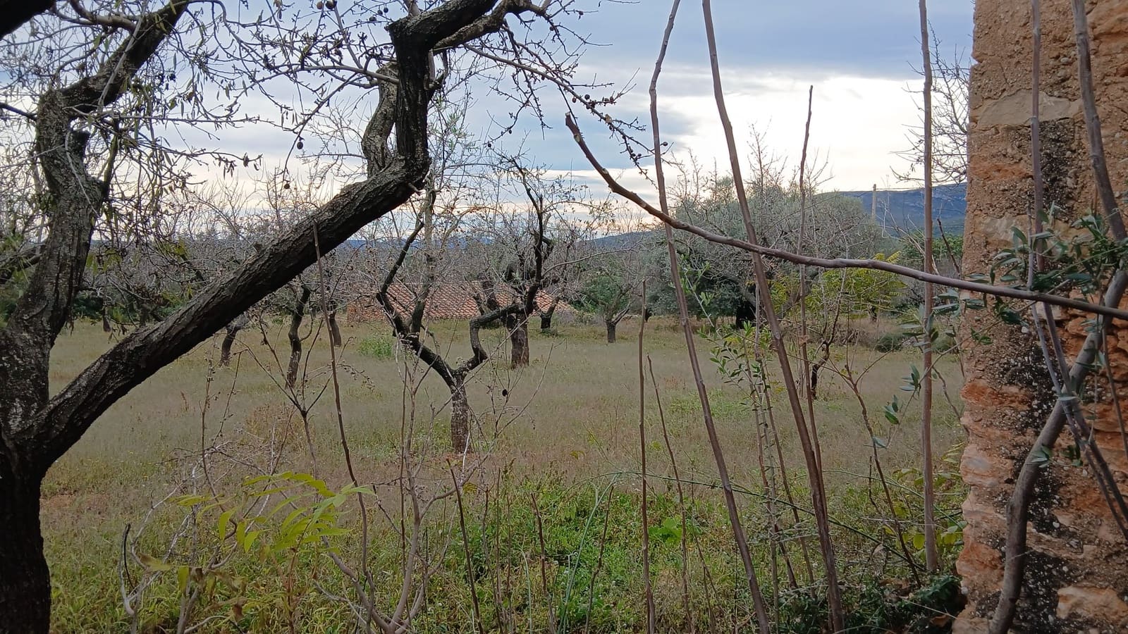 Bouwgrond te koop in Les Coves de Vinroma - € 35.000 (Ref: 9415193)