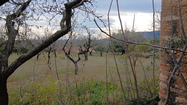 Tomt till salu i Les Coves de Vinromà - 35 000 € (Ref: 9415193)