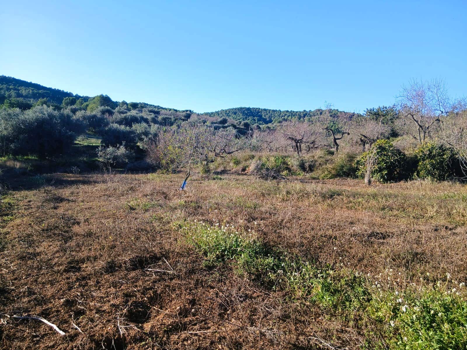 Finca/Hus på landet till salu i Vall d'Alba - 35 000 € (Ref: 9525549)