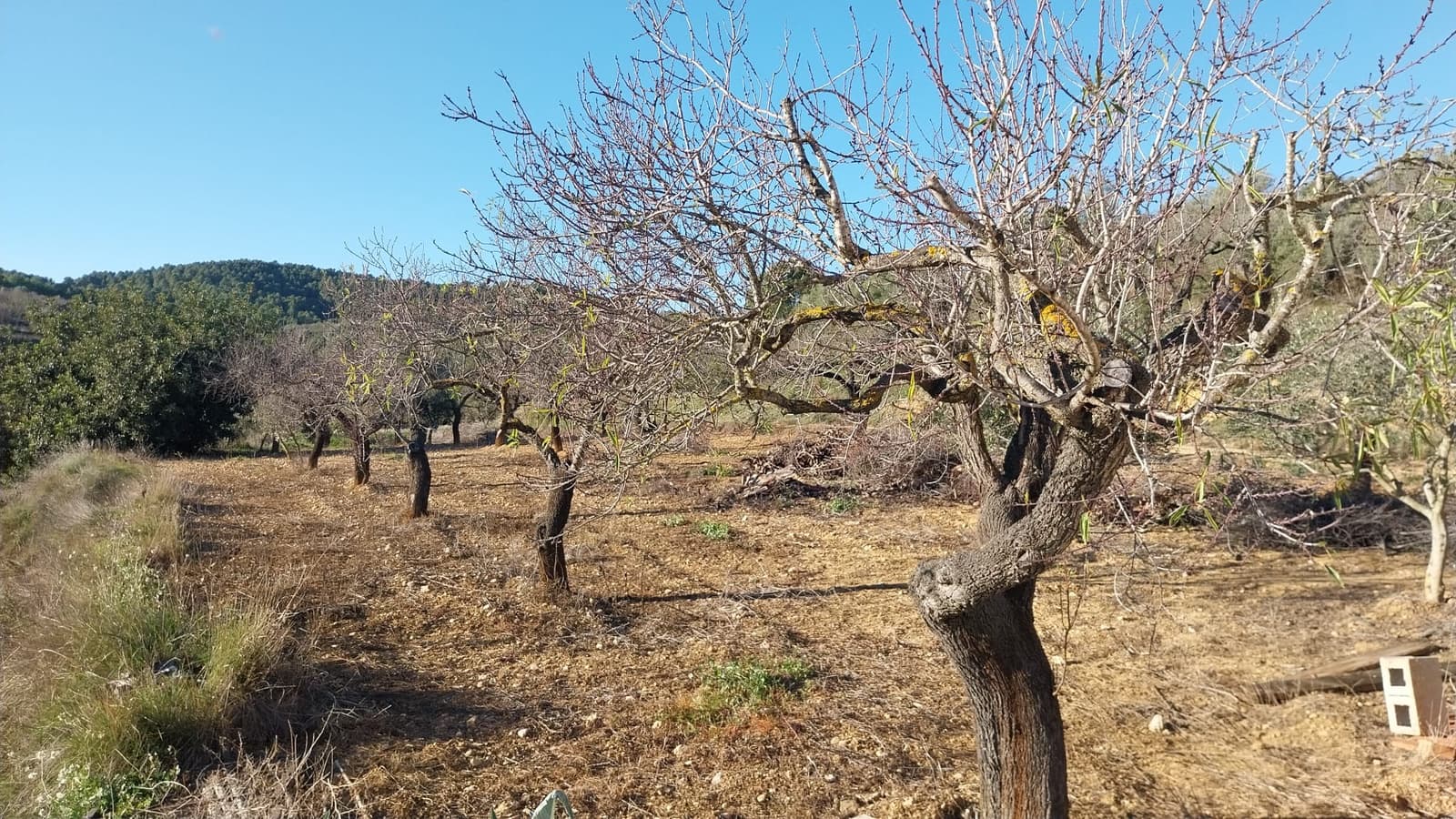 Finca/Hus på landet till salu i Vall d'Alba - 35 000 € (Ref: 9525549)