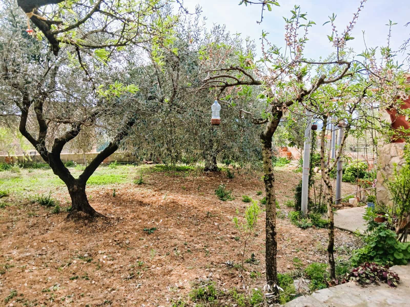 6 bedroom Finca/Country House for sale in Sierra Engarceran with garage - € 149,000 (Ref: 9722670)