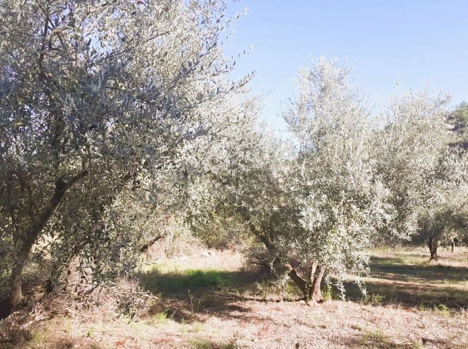 1 soverom Finca/Herregård til salgs i Les Useres med garasje - € 89 000 (Ref: 9838598)
