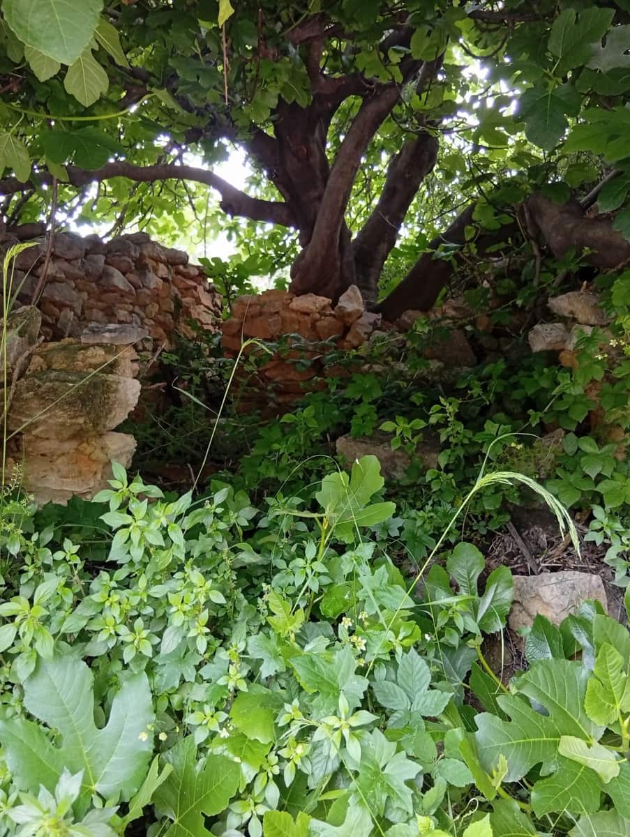 Building Plot for sale in Les Coves de Vinroma - € 12,000 (Ref: 9850084)