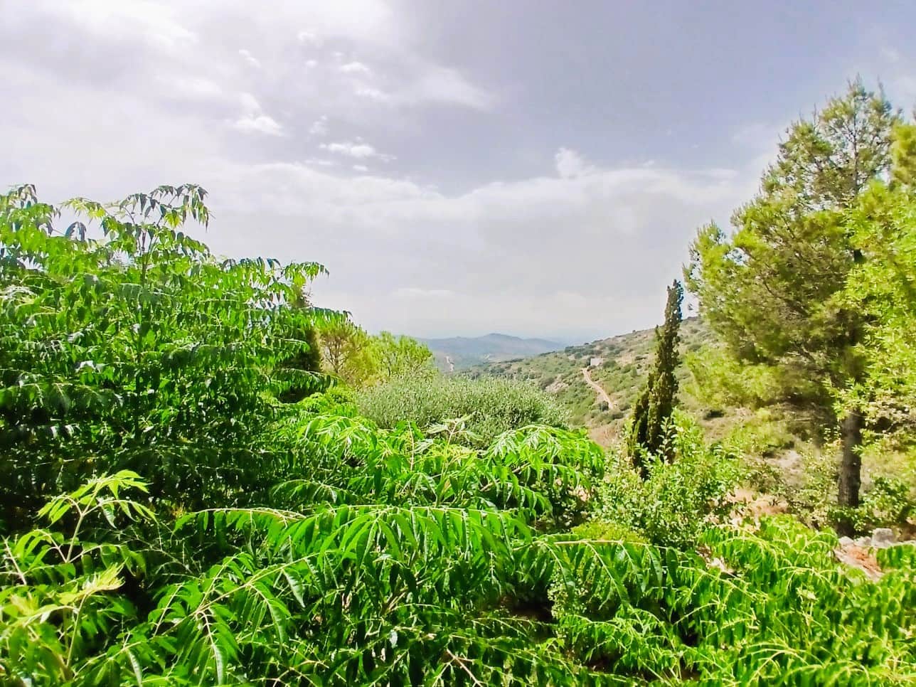 6 bedroom Finca/Country House for sale in Sierra Engarceran with pool garage - € 380,000 (Ref: 9976513)