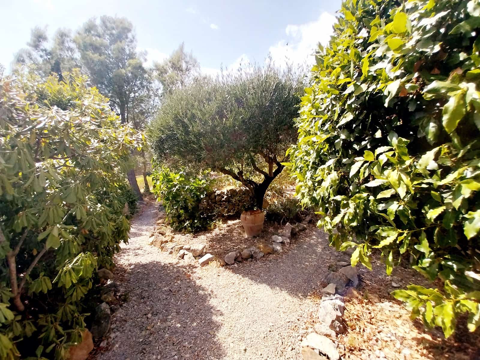 8 bedroom Finca/Country House for sale in Sierra Engarceran with pool garage - € 375,000 (Ref: 9976513)