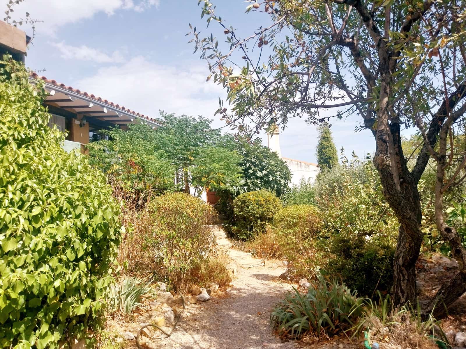 8 bedroom Finca/Country House for sale in Sierra Engarceran with pool garage - € 375,000 (Ref: 9976513)