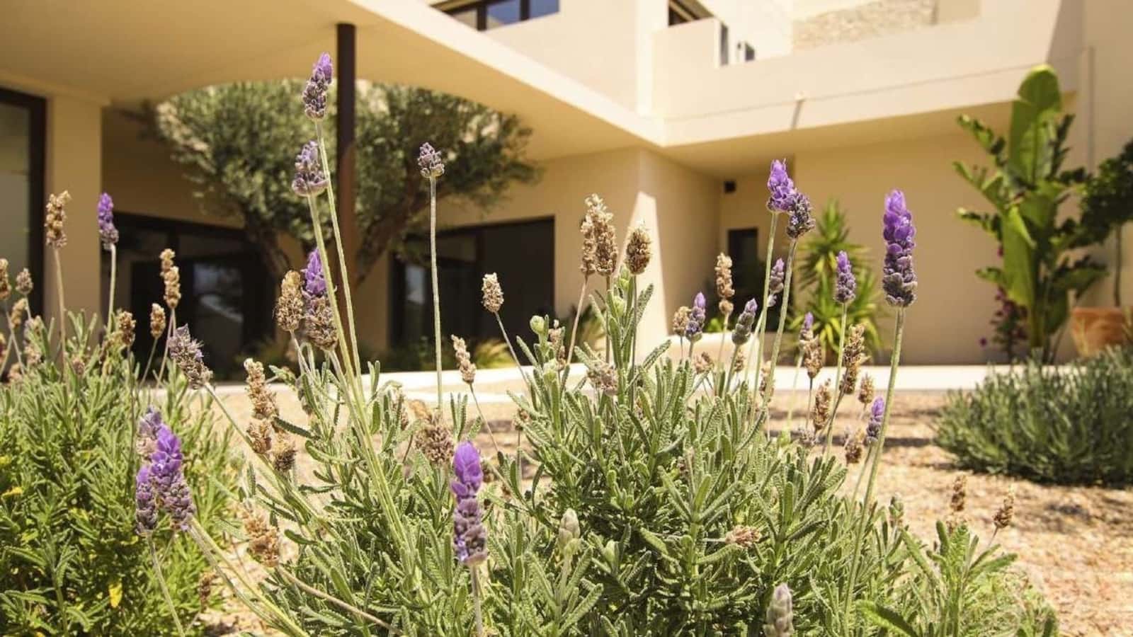 4 camera da letto Villa in vendita in La Marina - 1.485.750 € (Rif: 10008239)