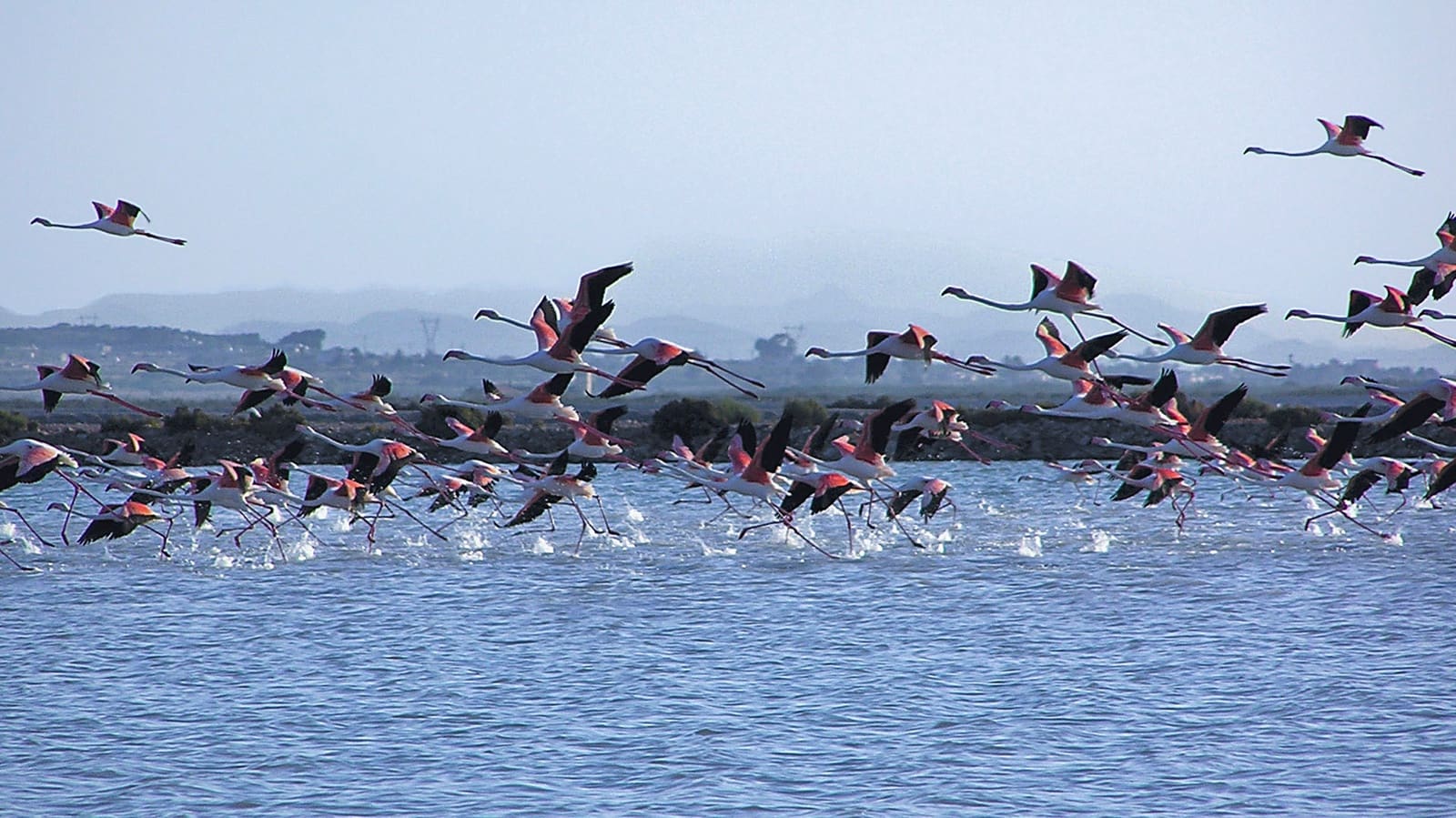 3 soverom Leilighet til salgs i Alicante by med svømmebasseng - € 405 000 (Ref: 9327199)