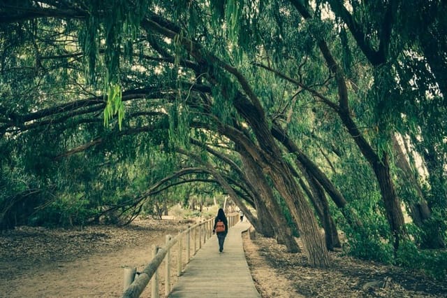 5 sypialnia Willa na sprzedaż w Los Montesinos z garażem - 780 000 € (Ref: 9327239)