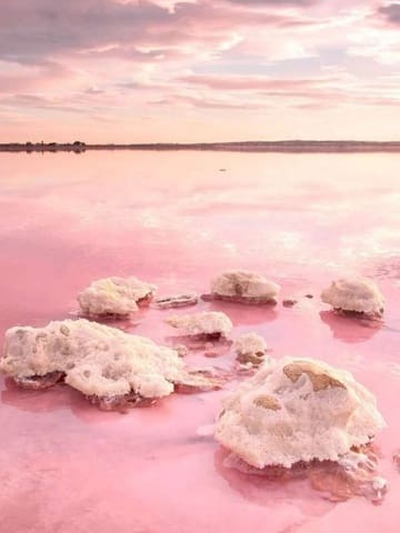 3 sypialnia Apartament na sprzedaż w Punta Prima, Torrevieja z basenem - 364 000 € (Ref: 9327729)