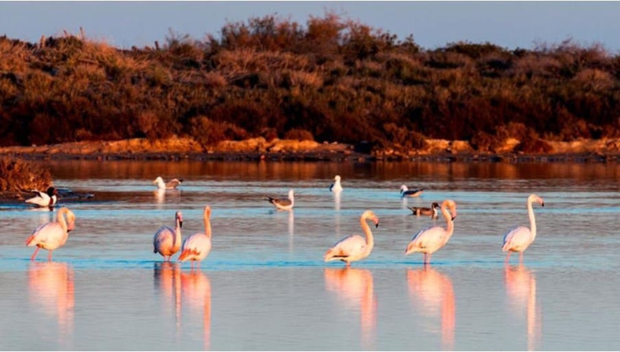 3 sypialnia Dom blizniak na sprzedaż w San Pedro del Pinatar z garażem - 369 900 € (Ref: 9327805)