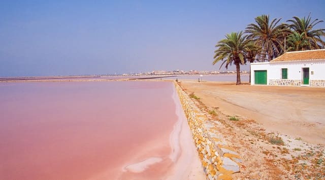 2 chambre Bungalow à vendre à San Pedro del Pinatar ciudad, San Pedro del Pinatar - 259 900 € (Ref: 9328011)