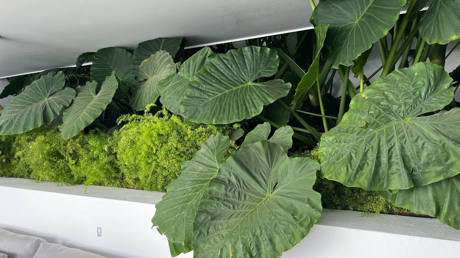 4 bedroom Villa for sale in La Quinta with pool garage - € 3,995,000 (Ref: 8668390)