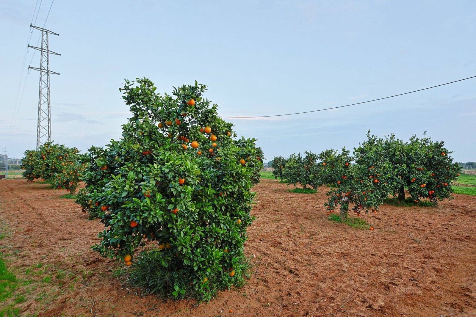 5 soveværelse Villa til salg i Sanlucar la Mayor med swimmingpool garage - € 379.990 (Ref: 9031519)