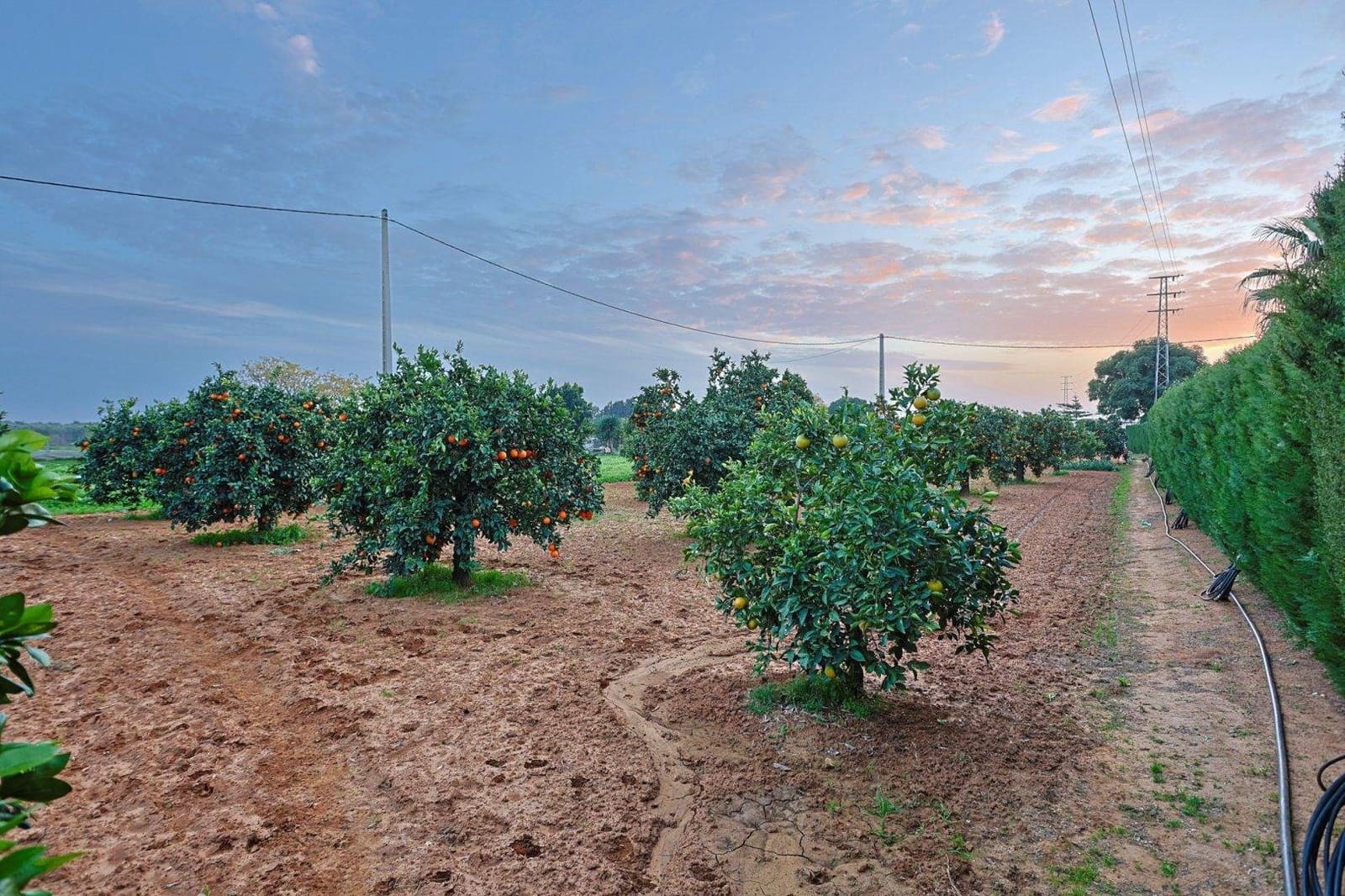 5 soveværelse Villa til salg i Sanlucar la Mayor med swimmingpool garage - € 379.990 (Ref: 9031519)